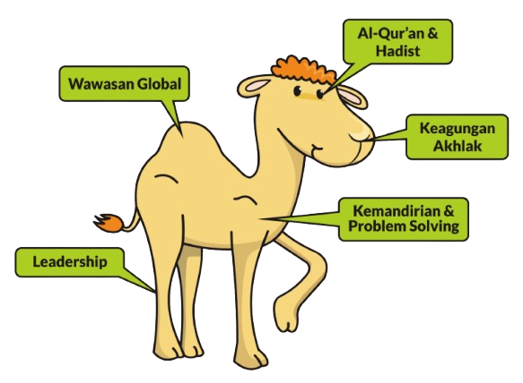 Ilustrasi unta Little Camel
